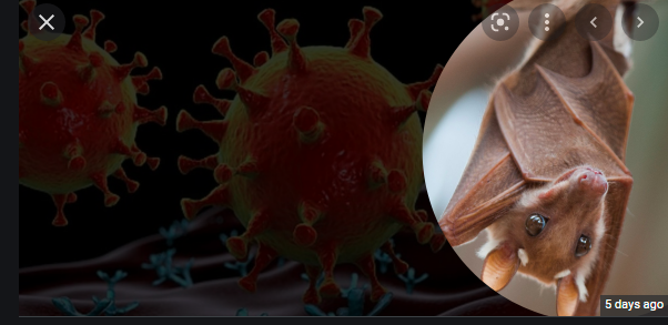 Is the NeoCoV type of coronavirus capable of killing humans?￼