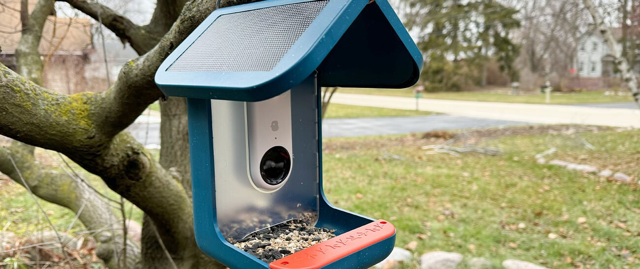 Bird Buddy Review Is It Worth Buying